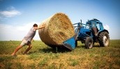 Последние три года фермеров методично лишают льгот. Украинские фермеры вынуждены жить по законам джунглей