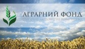 ПАТ "Аграрний фонд" планує запустити паралельно з форвардом інструмент, який дозволить компанії залучати кошти - мова йде про ф'ючерс на пшеницю