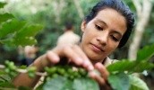 ФАО поможет латиноамериканским фермерам лучше справляться с последствиями изменения климата 