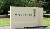 Monsanto недавно оголосила, що ЕРА схвалила гербіцид Harness MAX в США, перший гербіцид в портфелі Monsanto на основі дії HPPD