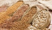 Syngenta расширит возможности своих форвардных программ