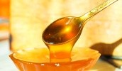 За перші 7 місяців 2017 року Україна наростила поставки меду в Бельгію, Канаду, Іспанію, США і Данію