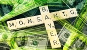 Бизнес-сделка между компаниями Bayer и Monsanto о слиянии ускорит внедрение инноваций и позволит создавать комплексные решения в области защиты растений, семян и услуг