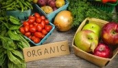 Украина наращивает экспорт органической продукции на западные рынки