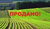 Україна входить в першу десятку країн за площами сільськогосподарських земель, як контролюються іноземними інвесторами