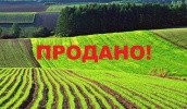 Украина входит в первую десятку стран по площадям сельскохозяйственных земель, контролируемых иностранными инвесторами