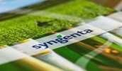 Китайская зерновая корпорация COFCO International согласилась продать швейцарской Syngenta свое подразделение по производству семян