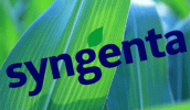 Через якийсь час Syngenta може знову вийти на IPO (первинне публічне розміщення)