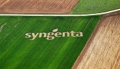 В Syngenta в Украине отмечают: фермеры стали чаще обращать внимание на продукты-аналоги либо генерические продукты, завезенные из юго-восточных стран – Китая, Индии, Бангладеш