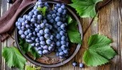 Для України світовий ринок винограду представляє значний інтерес. Наприклад, країни ЄС лише на 75% покривають внутрішні потреби його споживання за рахунок власного виробництв