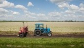 По данным опроса AgriSurvey, проведенного по заказу Alexandrov&Partners, более 60% агрокомпаний не готовы покупать землю. Массовой скупки земельных паев не будет