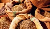 В текущем сезоне Украина обеспечила 20% импорта пшеницы Индией 