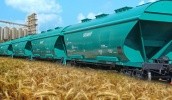 В Казахстане экспорт пшеницы переориентировался на другие рынки 