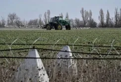 Як працюють аграрії в прифронтових районах – результати опитування