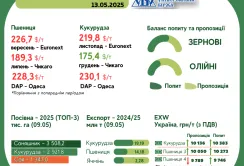 Тренди на ринку зернових та олійних культур з 5 по 12 травня