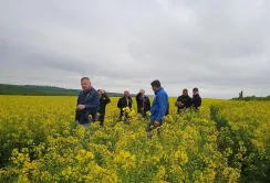 Агрофірма «Ольгопіль» показала, як працюють різні сорти ріпаку та пшениці в польових умовах