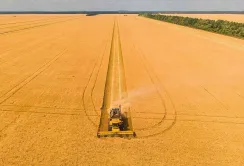 Український агросектор потребує поступової євроінтеграції — голова ВАР
