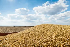 Експорт агропродукції автотранспортом зріс, залізничні тарифи поки без змін, морська логістика завмерла