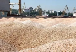 АГРОТРЕЙД готується експортувати більше в Азію через обмеження з боку ЄС