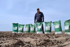 Компанія «Ерідон» продовжує роботу над проєктом CROPSTAGE
