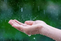 У Франції потрібно буде отримувати дозвіл на полив дощовою водою