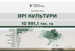 Весняна посівна 2025: ярими культурами засіяно 87% прогнозованих площ