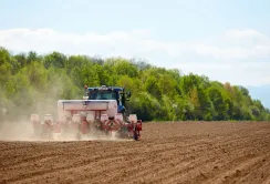 Весняна посівна 2025: засіяно 5,5 млн га зернових та зернобобових