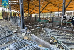 Внаслідок російських атак на Харківщині загинули понад 40 корів
