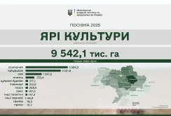 Весняна посівна: засіяно 76% ярих зернових та зернобобових культур