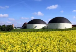 Україна нарощує агропереробку та робить ставку на біоенергетику
