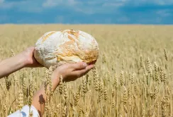 Попри економічні втрати агровиробників, загрози для продовольчої безпеки країни немає, – Денис Марчук