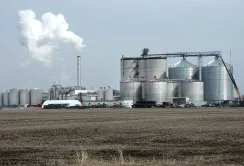 Експорт біоетанолу в Україні у 2024 році: приватизація заводів не дала очікуваного зростання