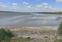 Катастрофа на Одещині: 8500 га сільгоспугідь під загрозою загибелі врожаю