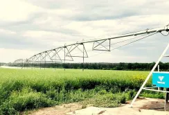 На Харківщині завдяки USAID AГРО відновили зрошення на 190 гектарах