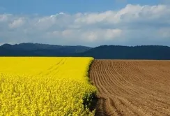 Рівень корупції у земельній сфері знизився до 16% — USAID АГРО запускає новий освітній курс