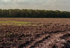 На Волині перевірять використання сільськогосподарських земель для збільшення доходів громад
