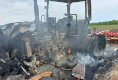Аграрна галузь зазнала понад 11 мільярдів доларів втрат — що робити далі