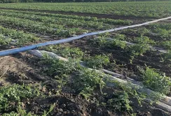 Зрошення полів у південних регіонах набирає обертів