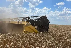 АГРОТРЕЙД розпочинає жнива на Харківщині: старт — із пшениці