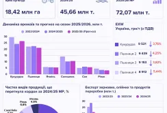 Підсумки червня на ринку зернових та олійних