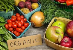 ЄС нарощує імпорт органічної агропродукції: Україна — в трійці лідерів