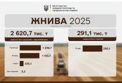 Жнива 2025: наближаємось до 1 млн га