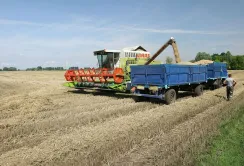 Законопроєкт про підтримку фермерів: що пропонують змінити