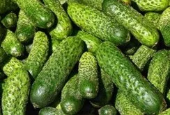 Несприятливі погодні умови сприяли підвищенню цін на огірки