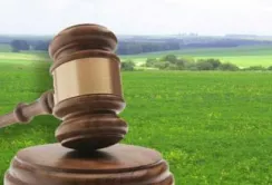 Земельні аукціони б’ють рекорди: ціна оренди зросла до 14,6 тис. грн за гектар