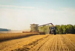 Жнива-2025 в Україні: аграрії продовжують працювати попри труднощі