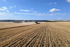 Жнива у «НІБУЛОНі» офіційно розпочато