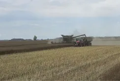 В Агро-Регіон завершили жнива озимих культур з найвищим показником середньої врожайності