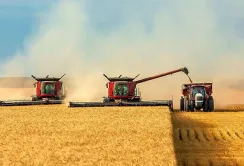 Топ-10 агрокомпаній України заробили понад 118 млрд грн за пів року