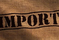 Збільшення імпорту агропродукції в Україну: найбільші постачальники та основні категорії товарів